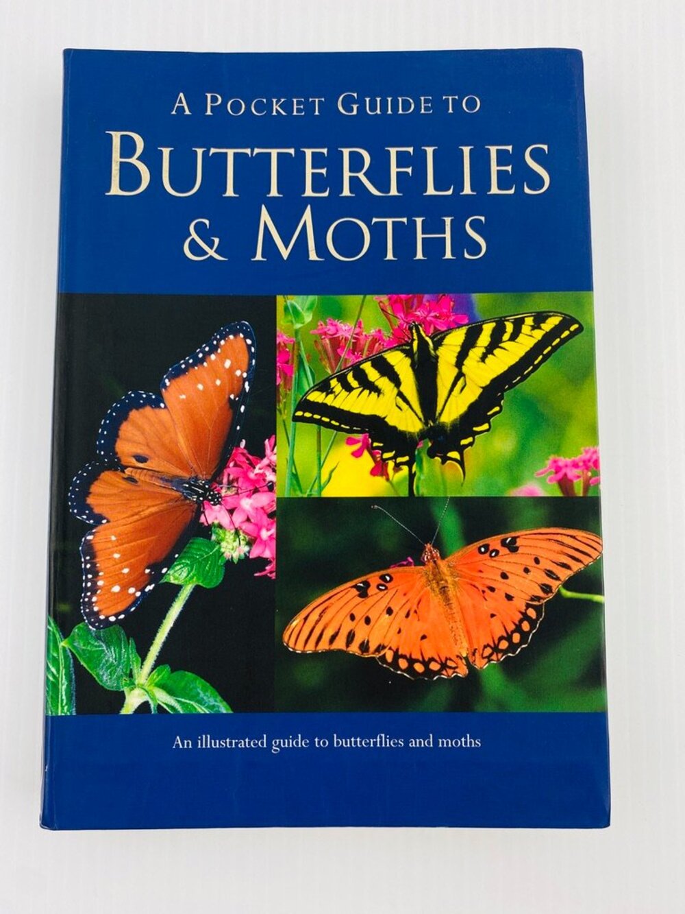 A Pocket Guide to Butterflies & Moths Book Full Colour Photos